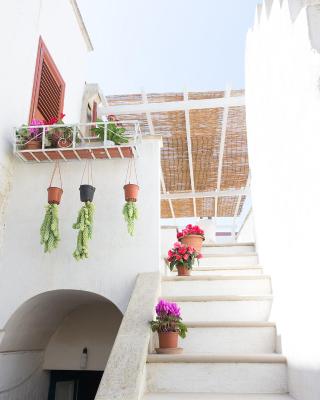 Casa Lucia