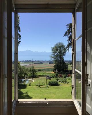 B&B Château de Denens