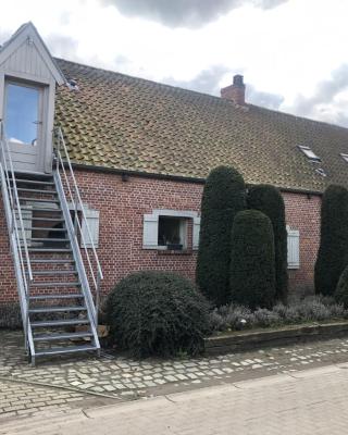 slapen bij alpacas