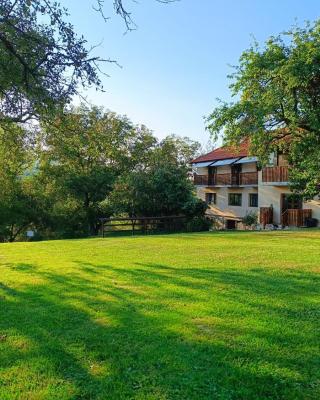 Pensiunea Agroturistica Ica