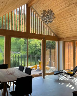 MARYS family friendly Apartments,VISIT RHINE FALLS for FREE if you stay 2 nights, SOHO 95m2 2-Bedrooms 2nd floor & SOUTH BEACH 105m2 3-Bedrooms & LOFT 115m2 3-Bedrooms Suite with Galerie,LOFT Netz 20m2, Pinball, Schaffhausen-Hemmental, Rheinfall 10 km