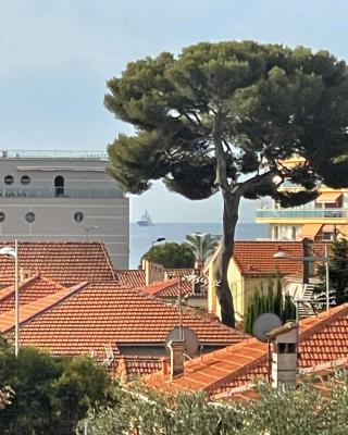 3 pièces au cœur du cros de cagnes