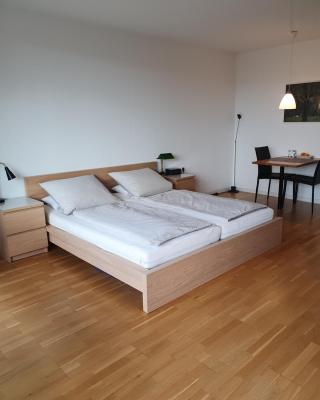 Quartier 311 mit Pool und Sauna