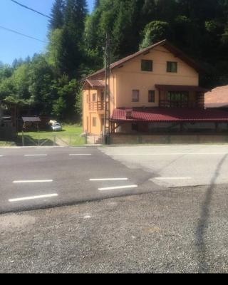 CASA DAVID