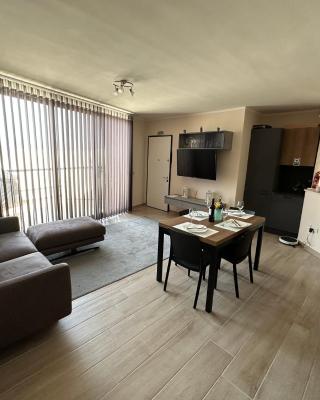 A Brand New Stunning Penthouse with BBQ area