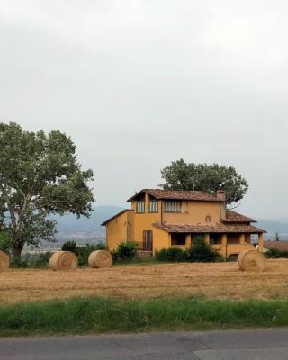 Vigna del Poggio