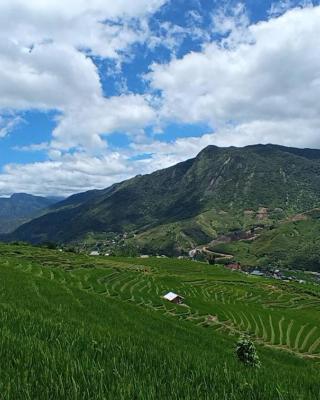 Sapa terraces