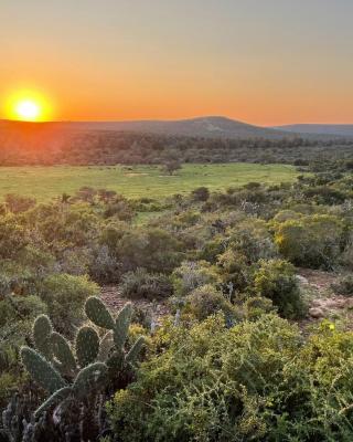 Harmony Luxury Tents & Safari