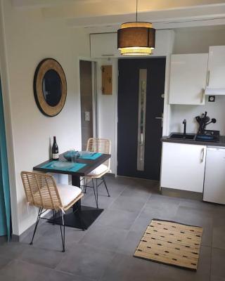 Chambre avec cuisine, entrée et terrasse privée !