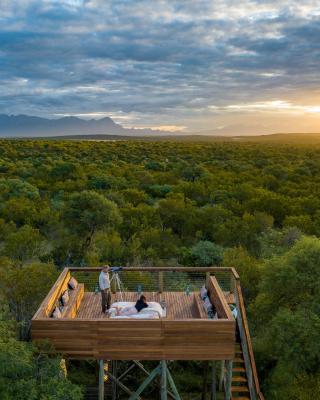 Oase by 7 Star Lodges - Greater Kruger Private 530ha Reserve