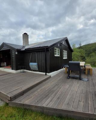 Tangen - cabin with 4 bedrooms - great nature