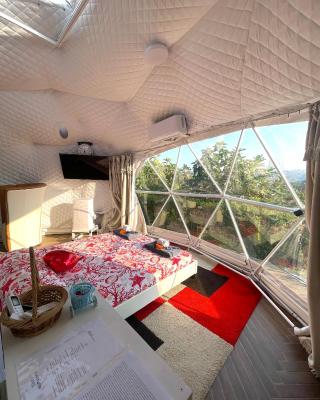 Glamping Lost
