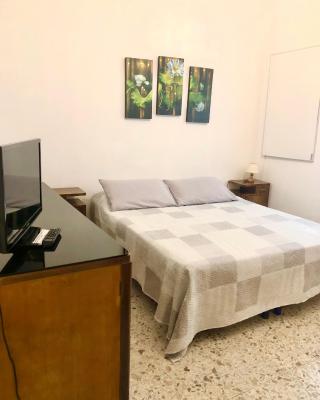HOME TONINO