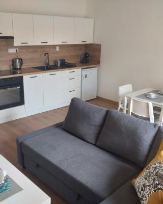Apartmán Karlovice - Jeseníky