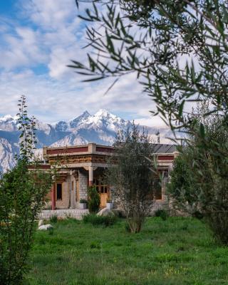 Lchang Nang Retreat-THE HOUSE OF TREES-Nubra Valley