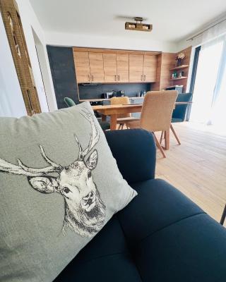 Family 2 bedroom Ski&Bike Apartment with Terrase