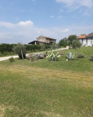 Casa Zafferano - apartment with garden
