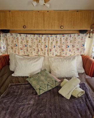 Cozy Caravan With House Access!