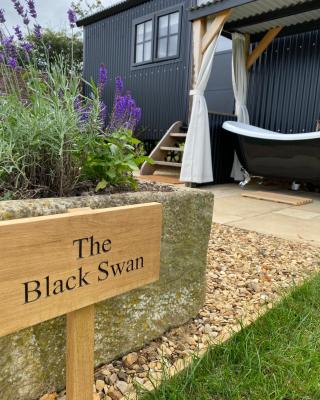 The Black Swan Shepherd Hut