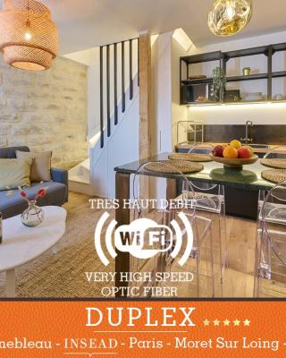 Duplex High Standing 7'➤Fontainebleau⎮45'➤Paris + Terrace