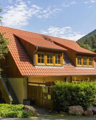 Ferienwohnung Ferienhäuser am Brocken, 60 qm 2 Schlafzimmer