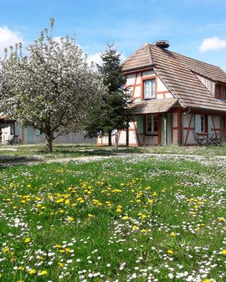 Les Loges de l'Ecomusée D'Alsace