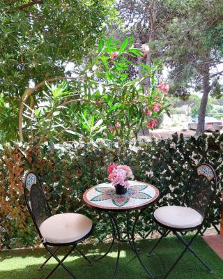 Domus Oleanders