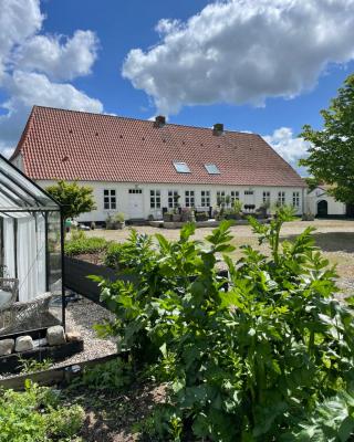 Landligt ophold på Midtgård