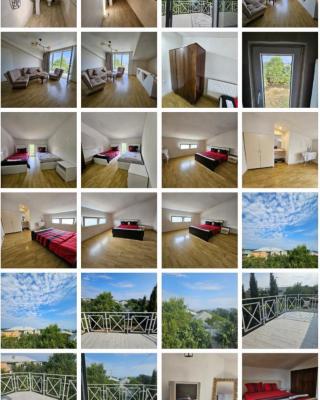 Дом Лашо всё хорошо