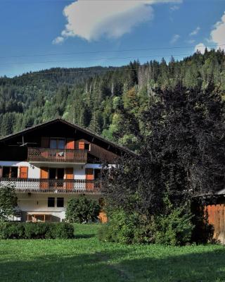 Chalet la Dransette