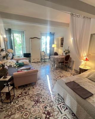 Les Coulisses de l'HORLOGE - WIFI - 50 m Palais des Papes