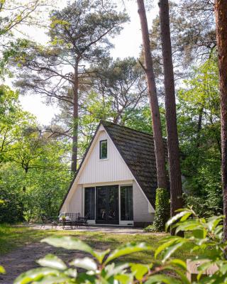 Vakantiehuis Magnolia Nunspeet Veluwe