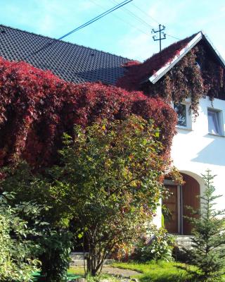 Apartamenty - Stara Stajnia - Na krańcu Świata
