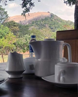 Sigiri Arana Sigiriya