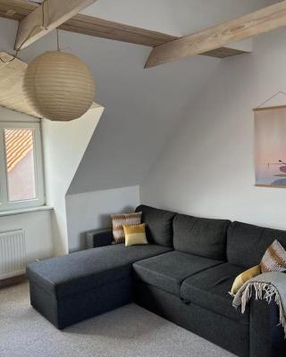 Stor lejlighed ved stranden i Agger Cold Hawaii