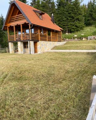 Planinska kuća Lane