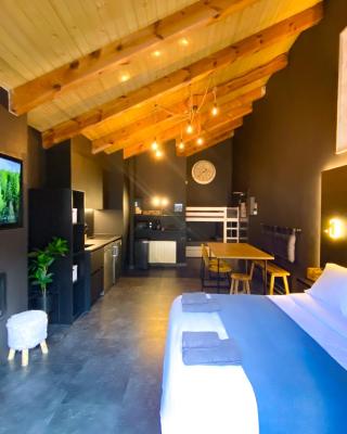 Modern Black Studio Penthouse En Valle De Incles - Parking Gratis