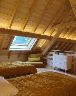 Alsace Chalet & Spa Meyer-Krumb