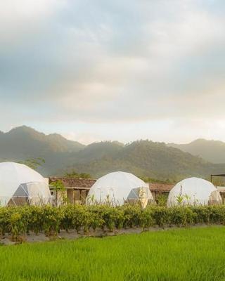 Borobudur Luxury Glamping