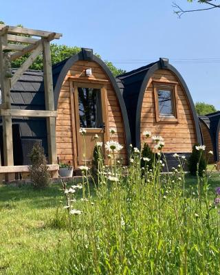 Rabbit Glamping Pod School House Farm