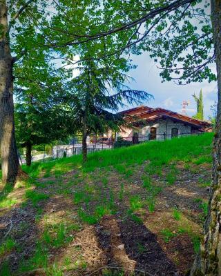 Appartamento Vacanze Il Daino