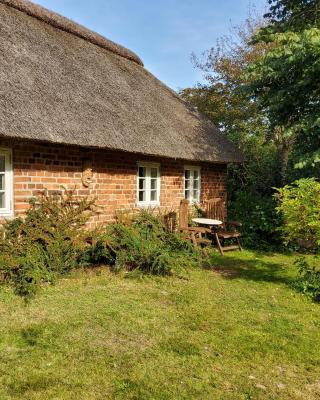 Ringkøbing Fjord B&B