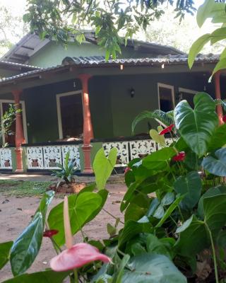 Green Bamboo House