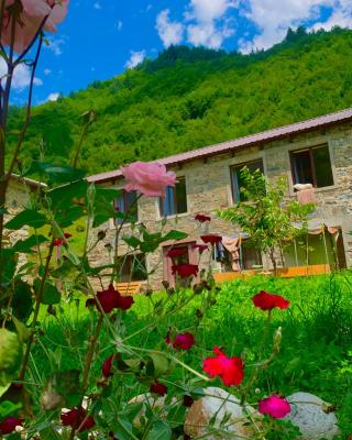 River side SVANETI
