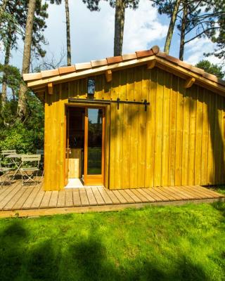 Cabane forêt proche plage