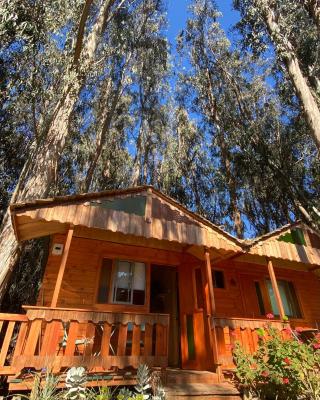 Suite con DESAYUNO SOLO PARA DOS Ó Cabañas familiares Los PINARES DEL MAR -Pet friendly