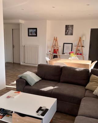 Residence Le Canal Strasbourg - Moderne avec Parking