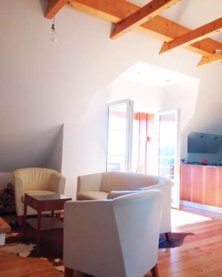 Chalet-Südsteiermark - traumhafte Aussicht, Infinity Pool, Privatsphäre, Klima und de-luxe Ausstattung