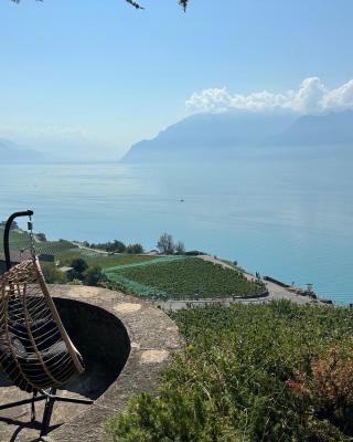 Panoramic Room in the vineyard,stunning views of lake and Alps