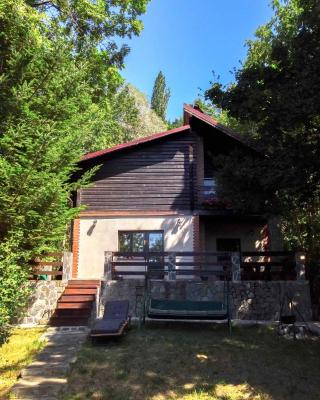 Mountain Family Chalet on Prahova Valley